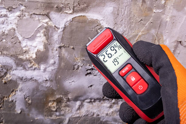 Office Mold Removal Services in Pojoaque, NM